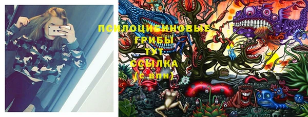 твердый Белокуриха