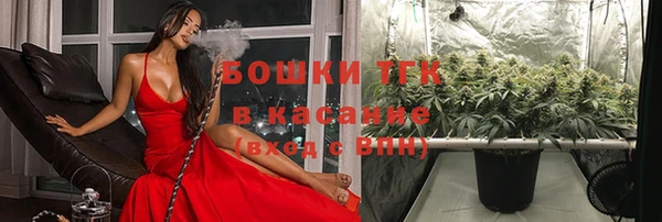 твердый Белокуриха