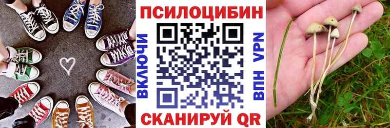 Псилоцибиновые грибы Psilocybine cubensis  Реж 